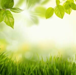 landschaft Psychotherapie Wien